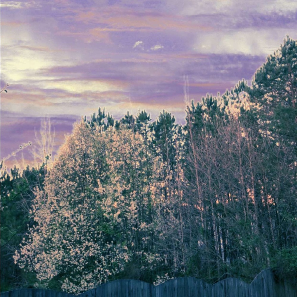 Meet your Posher, Clacole